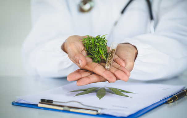 Strona Główna obraz10