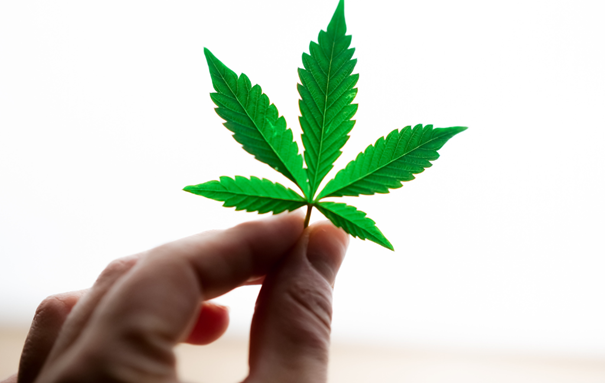 Medyczna marihuana image